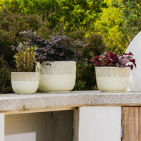 Fenn Fluted Egg Pot