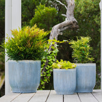 Pax Fluted U Pot