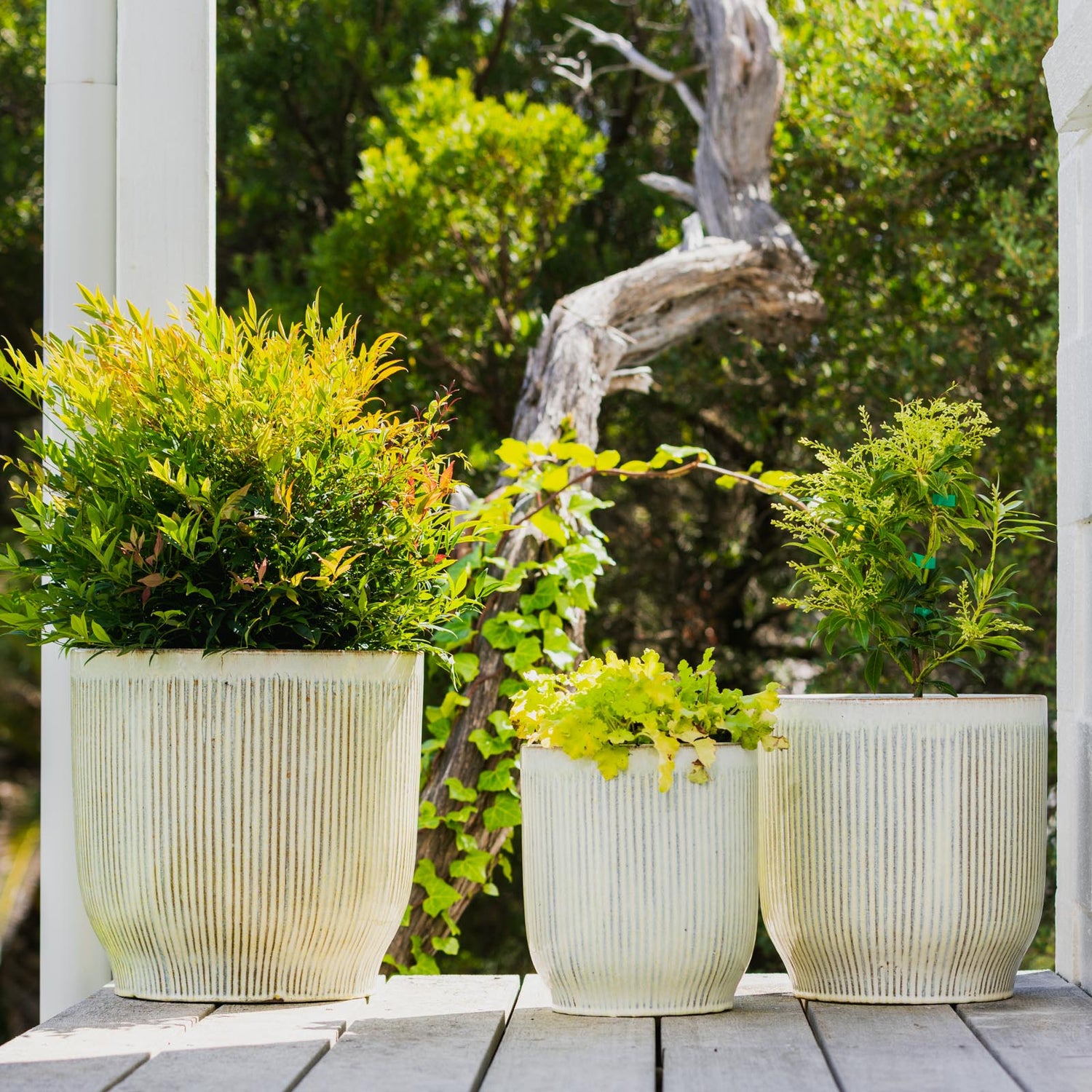 Pax Fluted U Pot