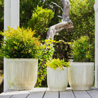 Pax Fluted U Pot