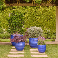 Lennox Egg Pot