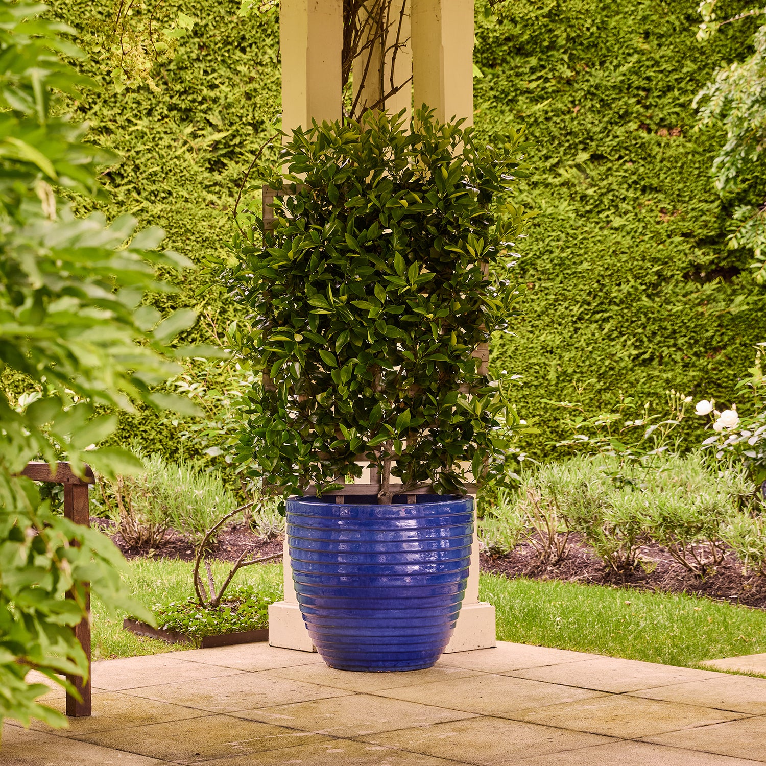 Lennox Egg Pot