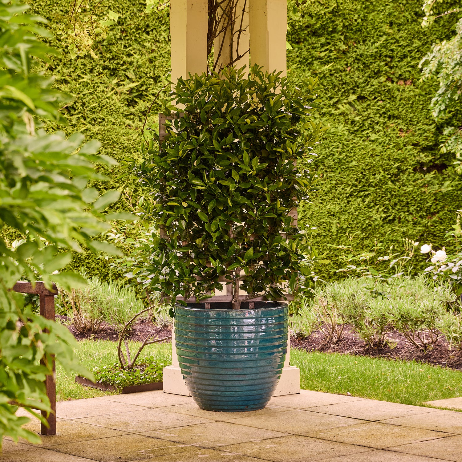Lennox Egg Pot
