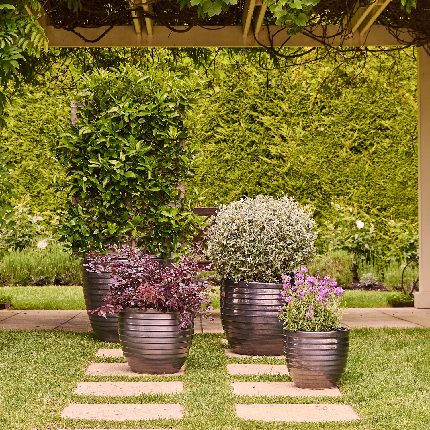 Lennox Egg Pot