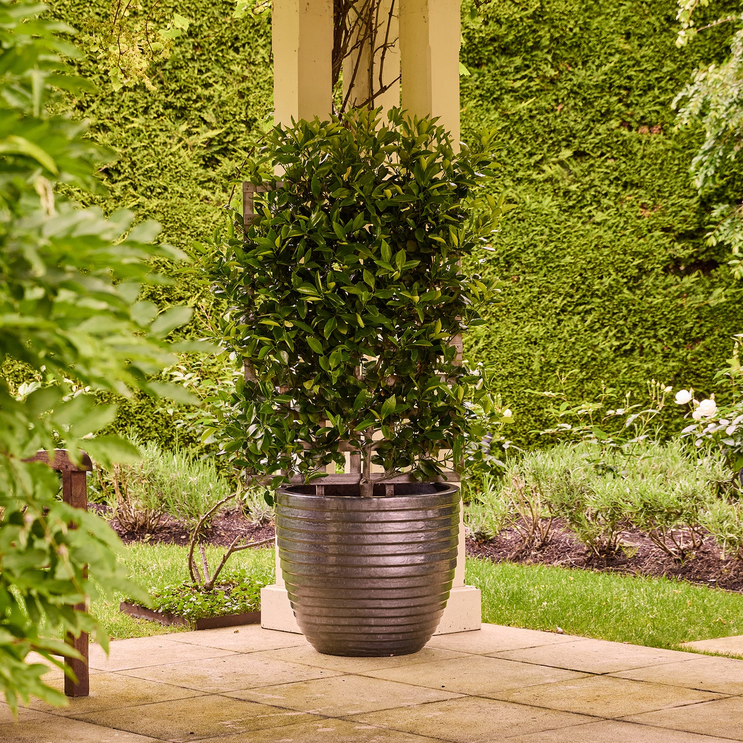 Lennox Egg Pot