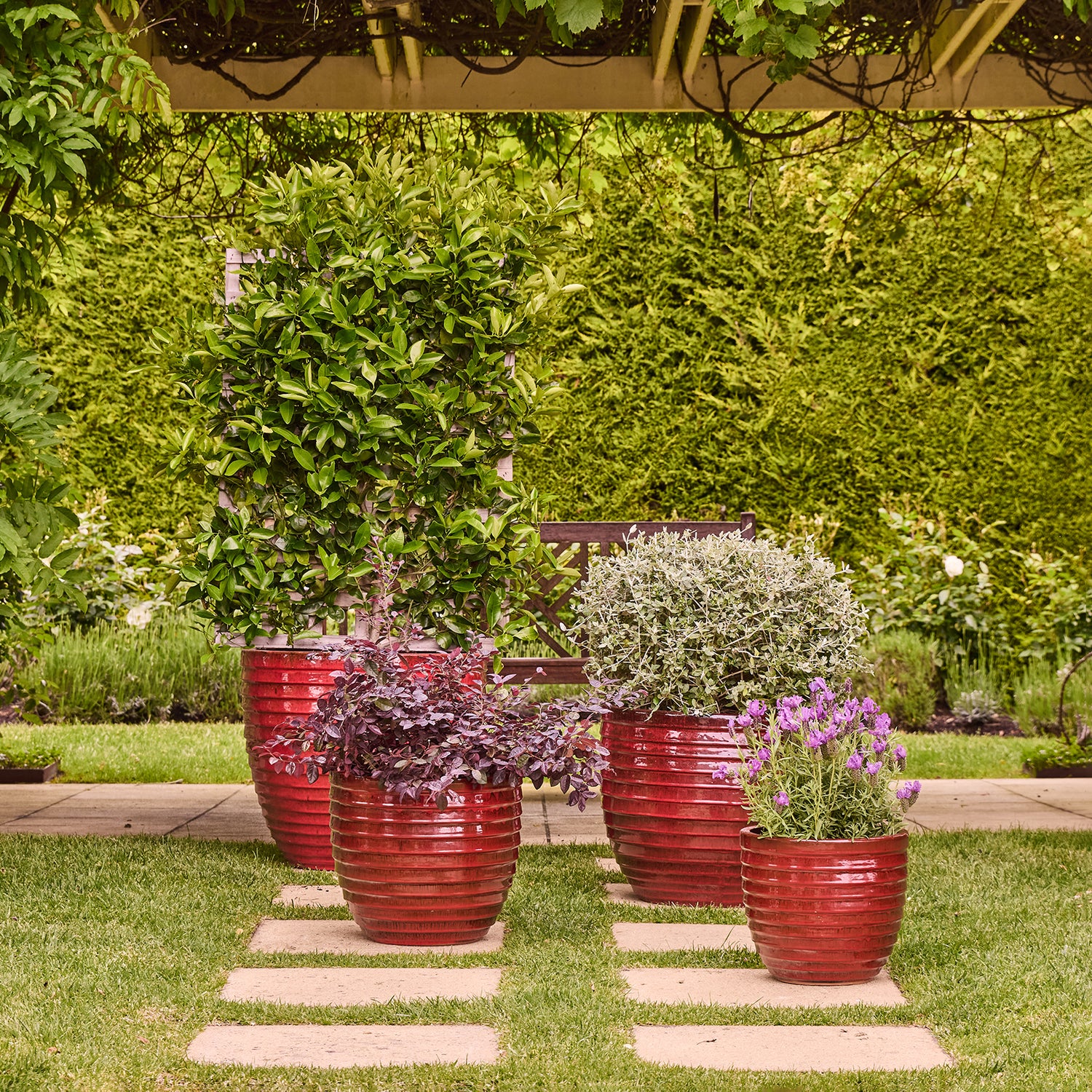 Lennox Egg Pot