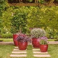 Lennox Egg Pot