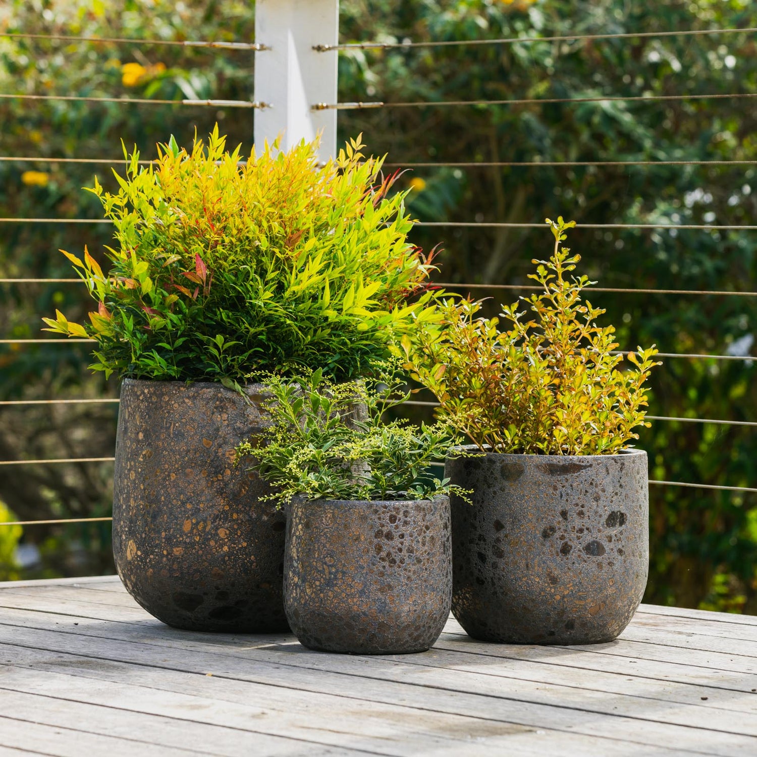 Asper Cylinder Pot
