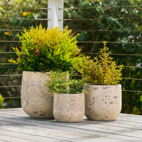 Asper Cylinder Pot
