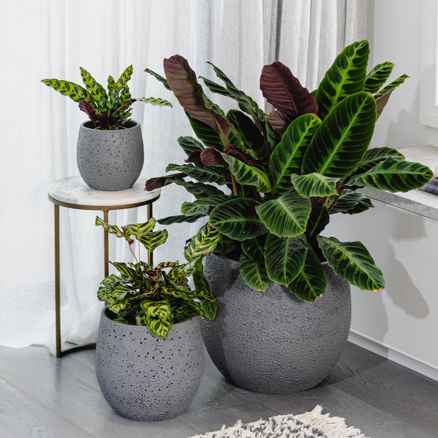 Coral Egg Pot