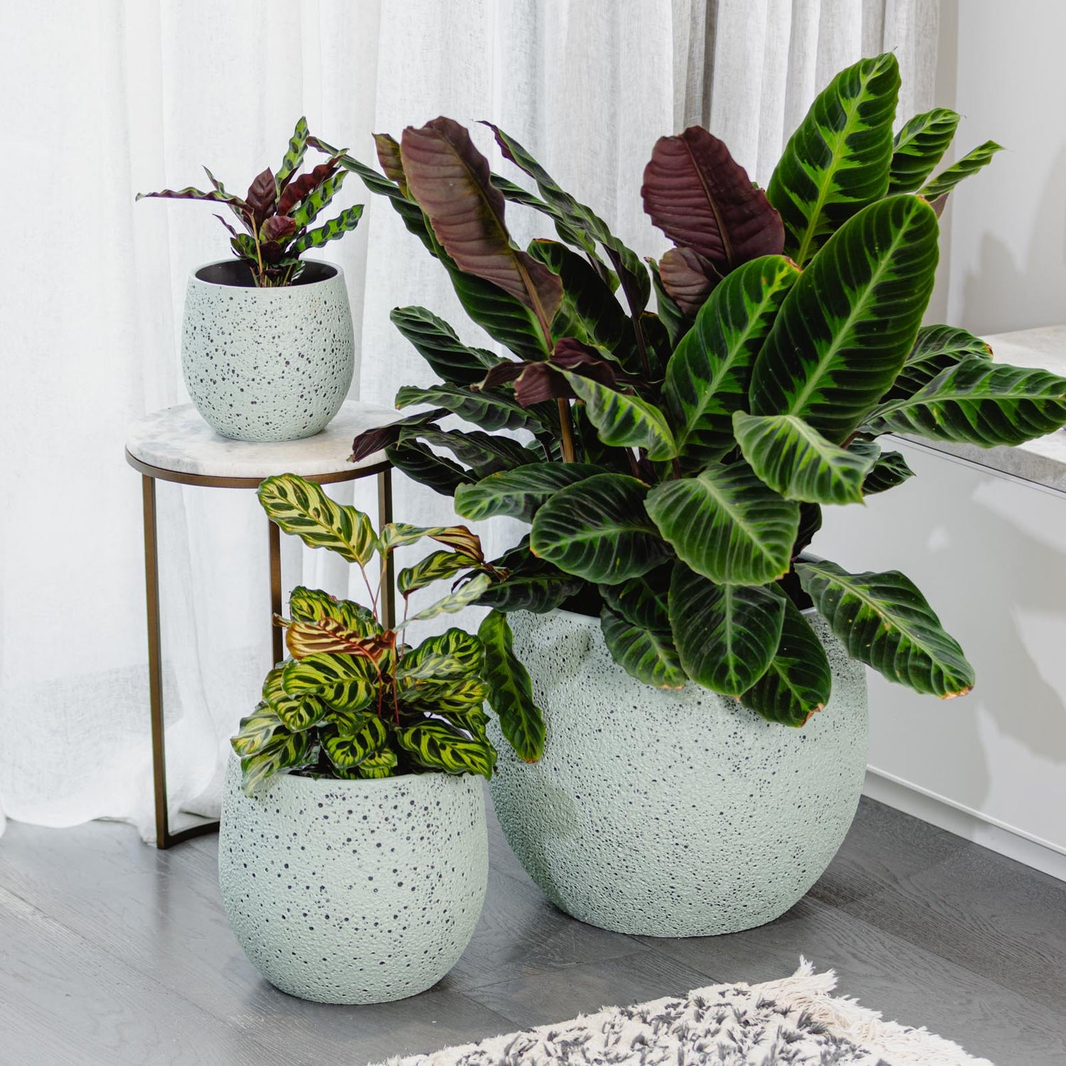 Coral Egg Pot