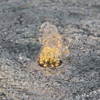 Molly Rose Fountain