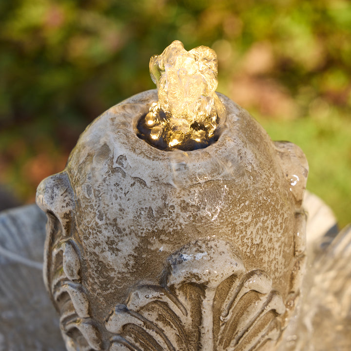 Fleur Fountain