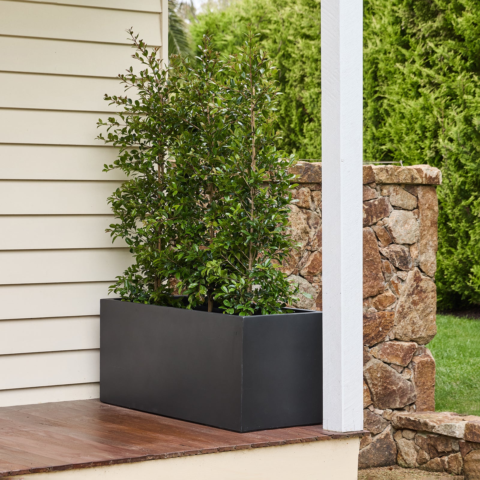 indoor trough planter Asher Trough Planter – Northcote Pottery