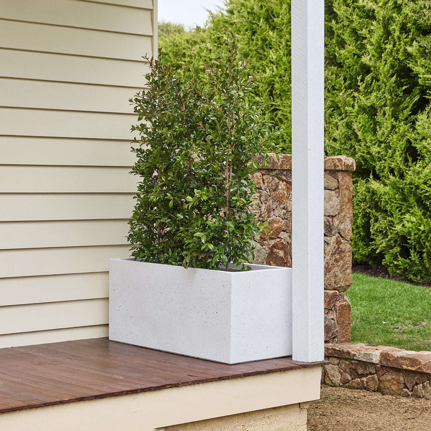 Asher Trough Planter