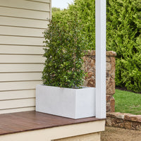 Asher Trough Planter