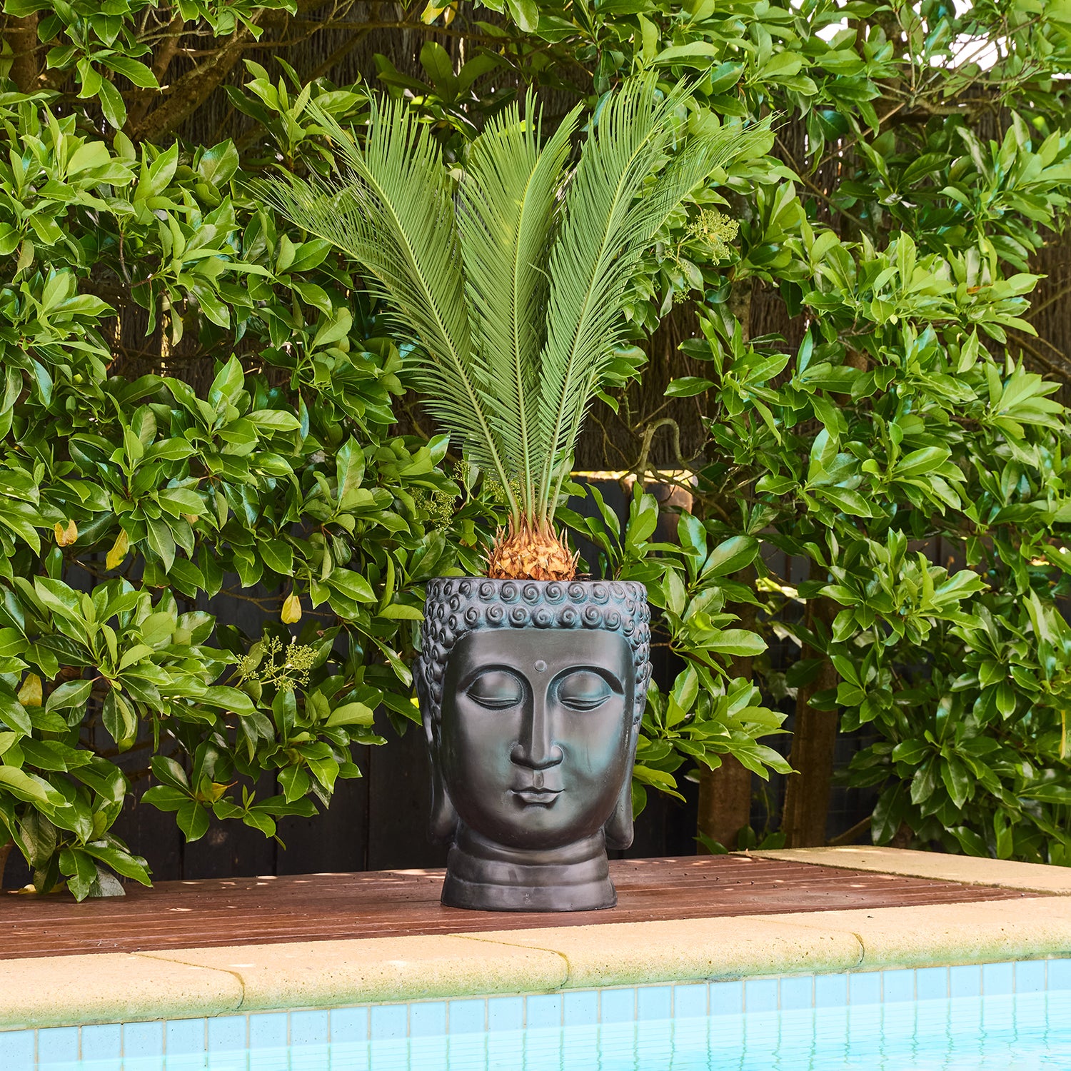 Balinese Planter