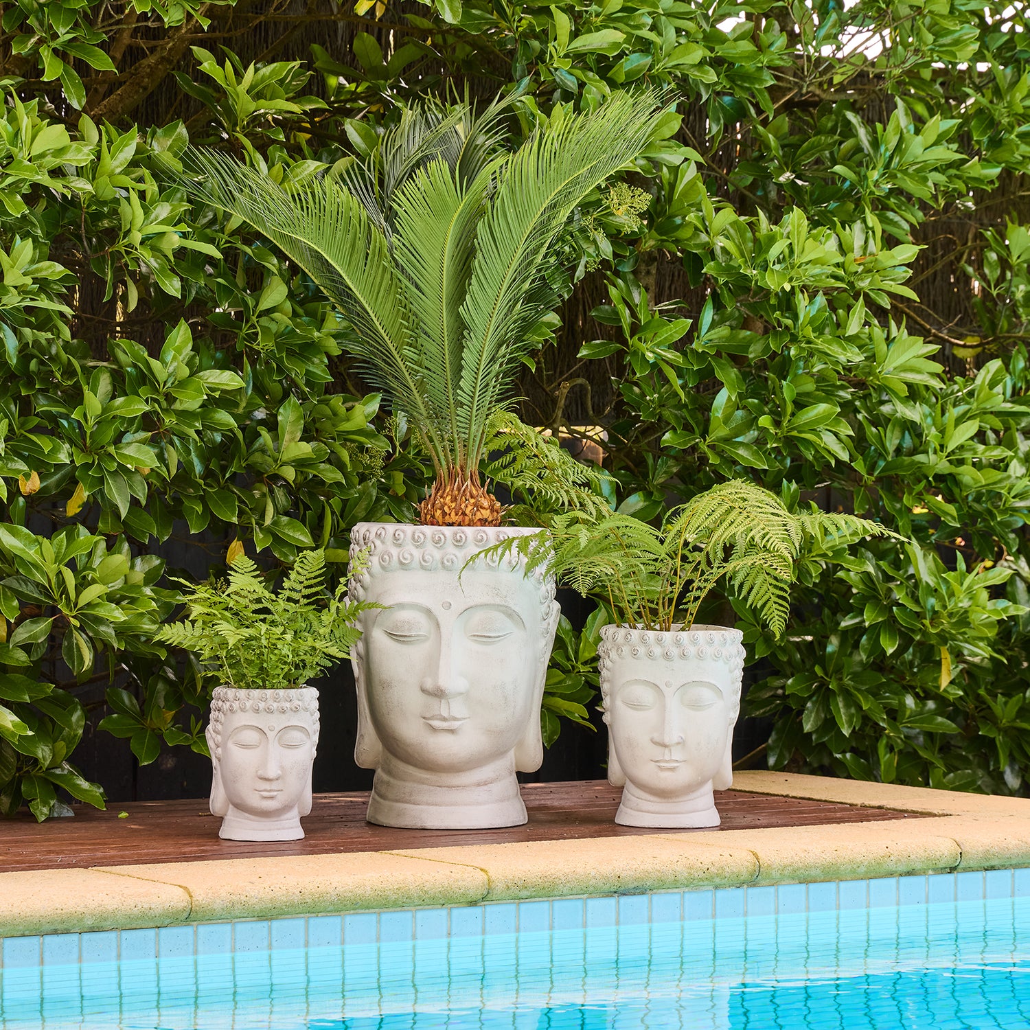 Balinese Planter
