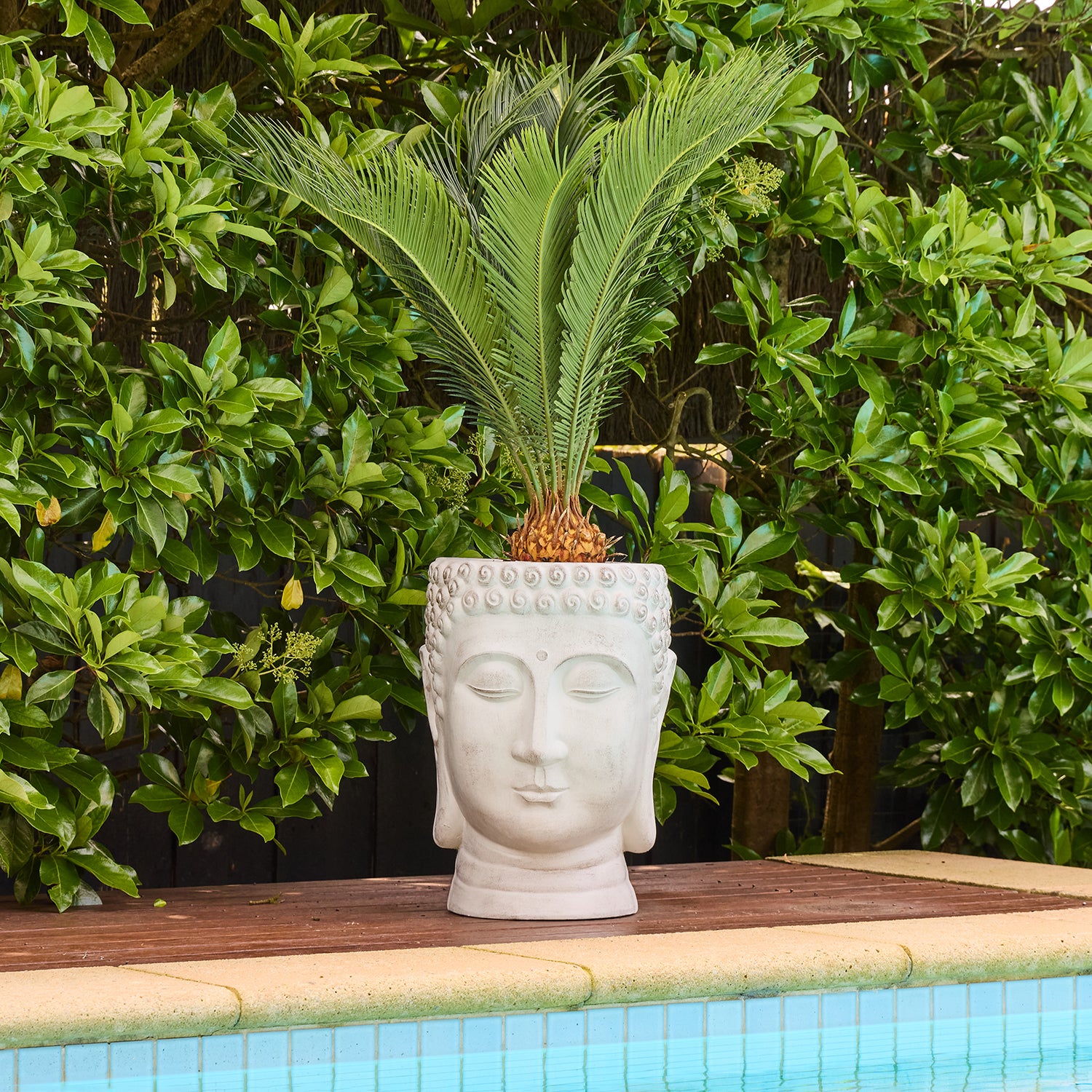 Balinese Planter