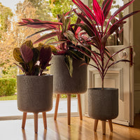 Slate Tripod Pot