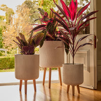 Slate Tripod Pot