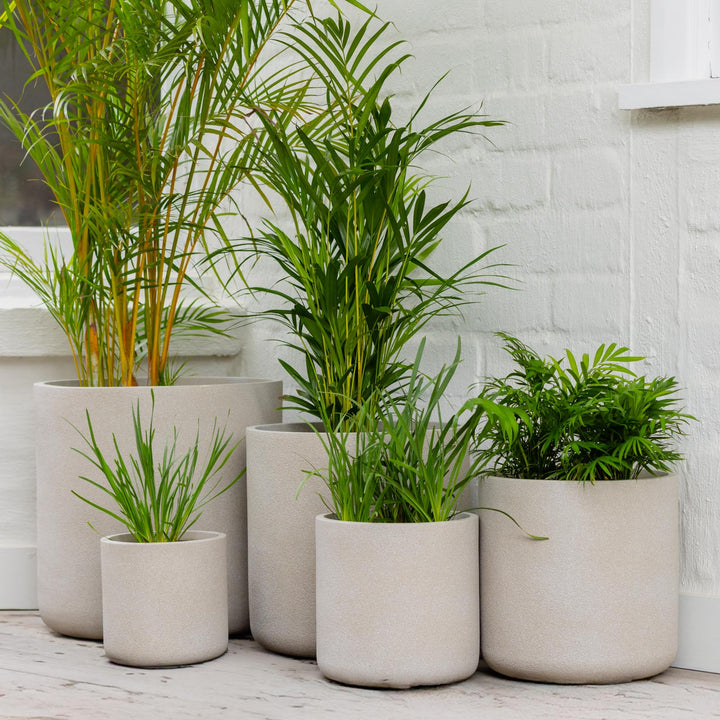 Vellum Cylinder Pot