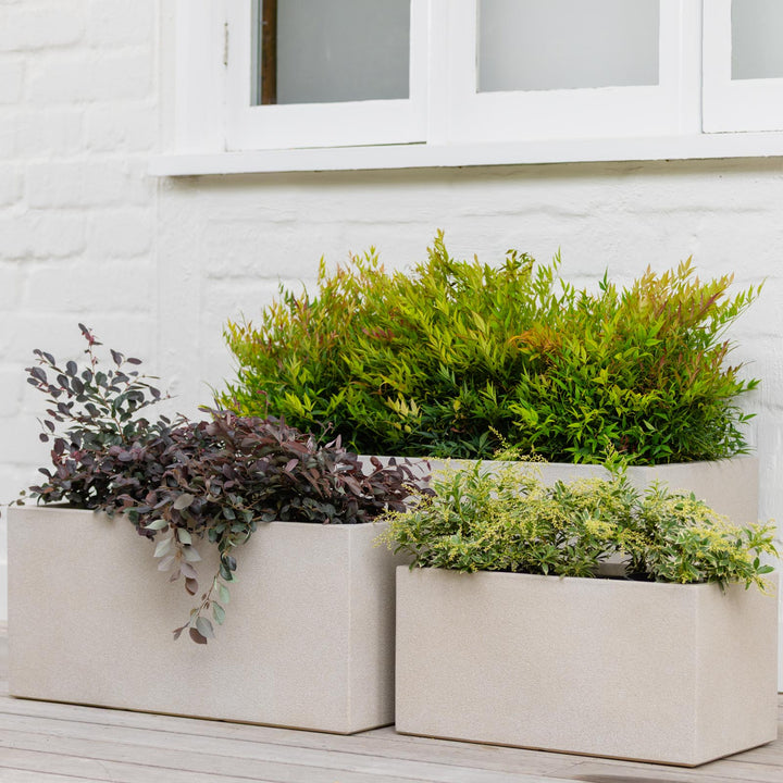 Vellum Trough Planter