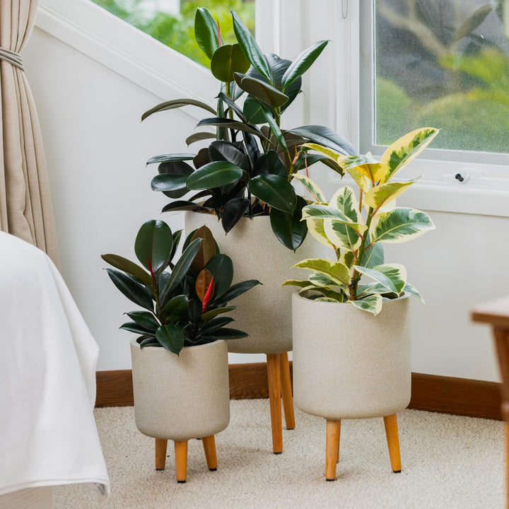 Vellum Tripod Pot