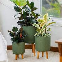 Vellum Tripod Pot