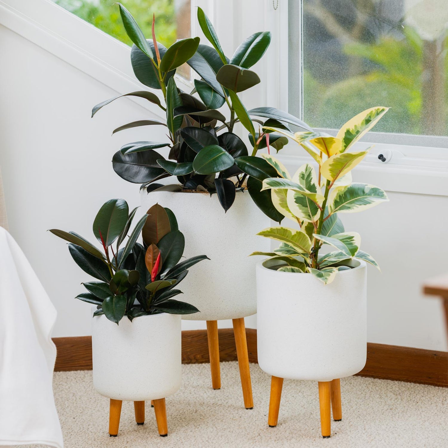 Vellum Tripod Pot