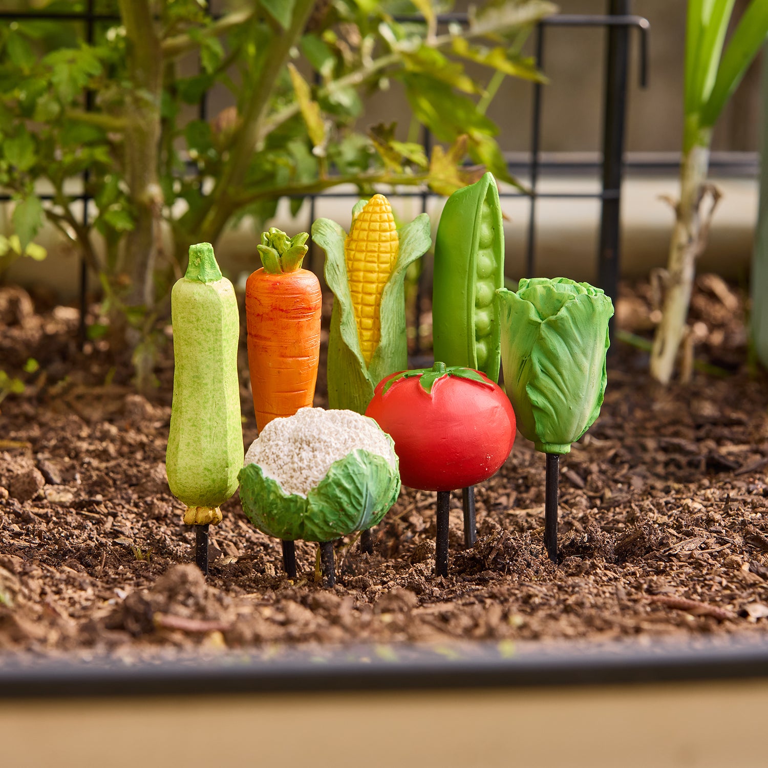 Cauliflower Garden Stake