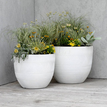 Northcote Pottery | The container gardening experts