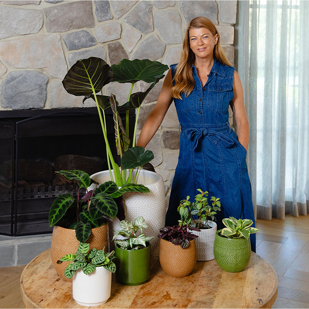 Farah Tapered Cylinder Pot