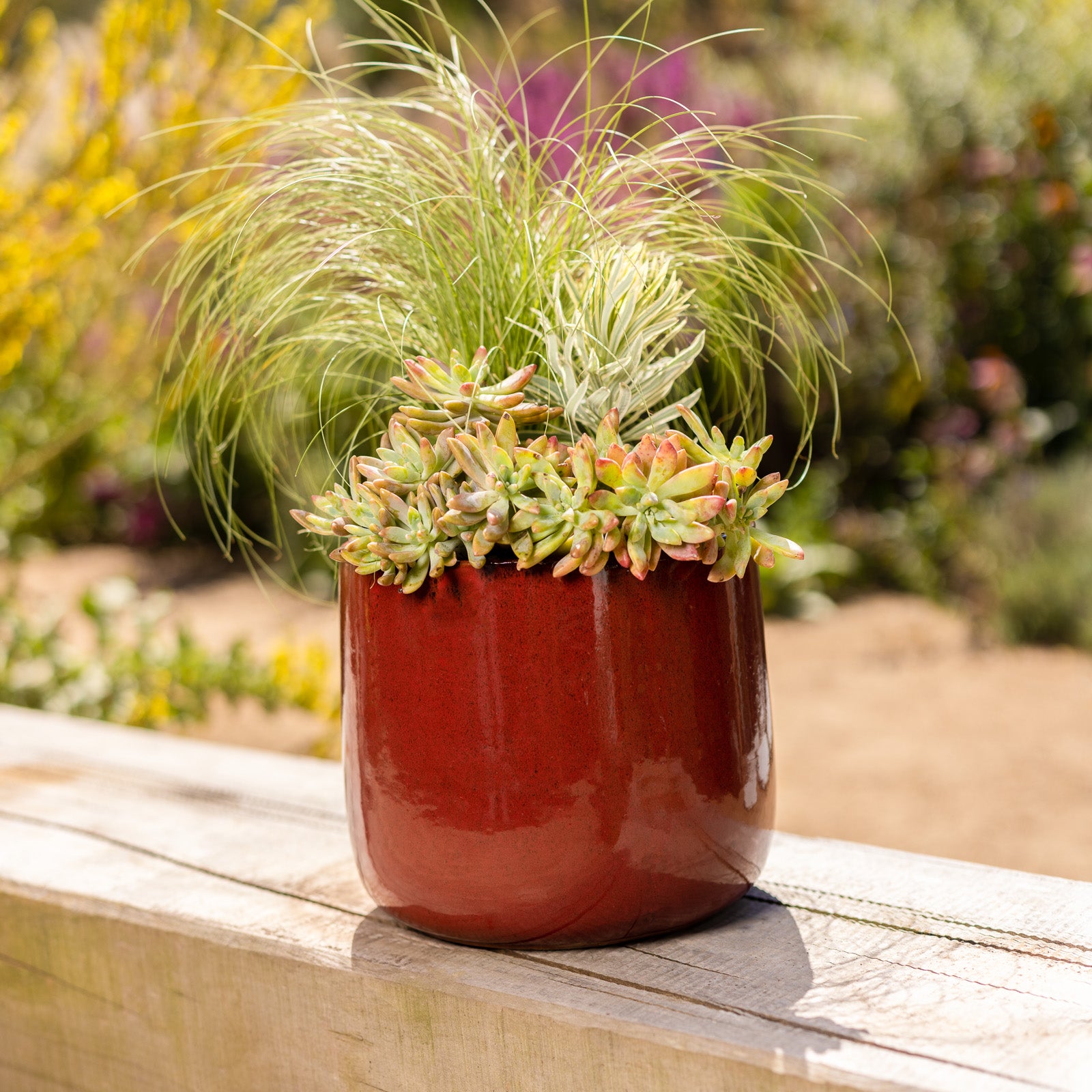 oil drum plant pot Oslo Drum Pot – Northcote Pottery