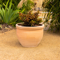 Karachi Round Planter