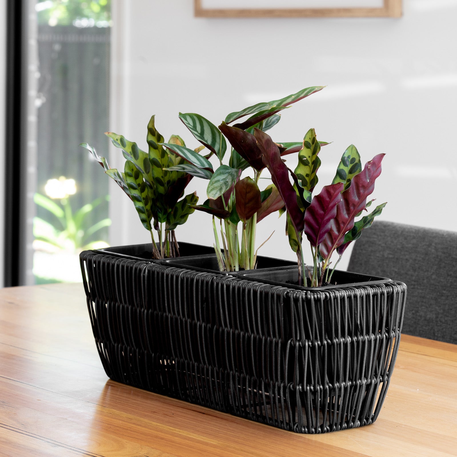 Rectangular Rattan Planter Grey & Buff Rattan Rectangular Trough