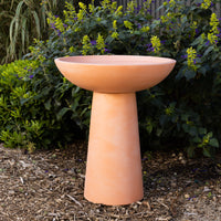 Finch Bird Bath