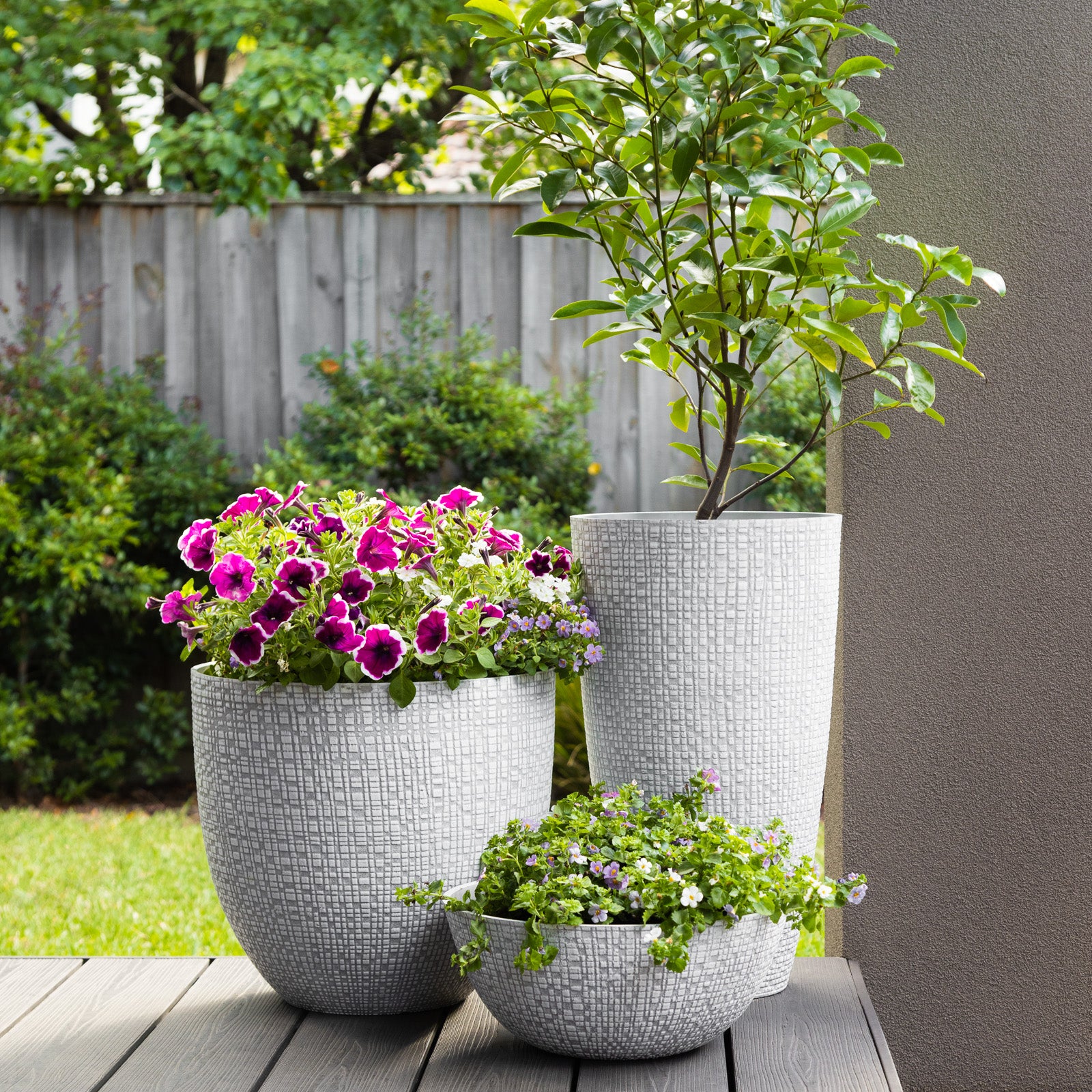 bullet planter pot Riley Bullet Pot – Northcote Pottery