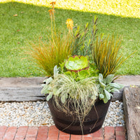 Whiskey Barrel Planter