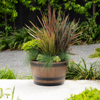 Whiskey Barrel Planter